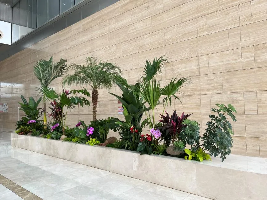 探寻宁波鄞州植物出租哪家好，看这篇就够了！